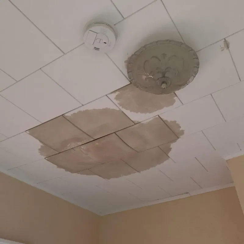 Ceiling Water Damage Repair in Windsor Heights, IA