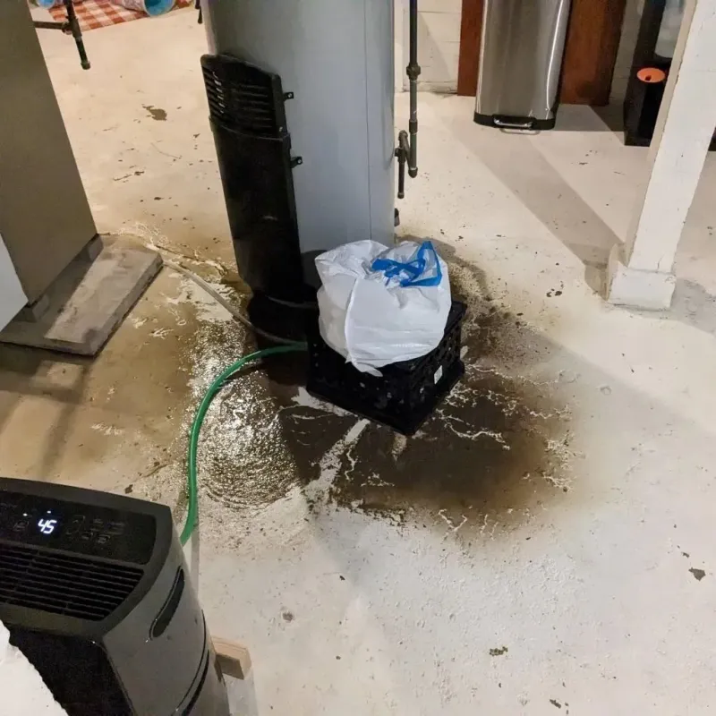 Sewage Backup Cleanup Service in Windsor Heights, IA
